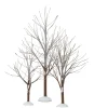 First Frost Trees<Department 56 Online